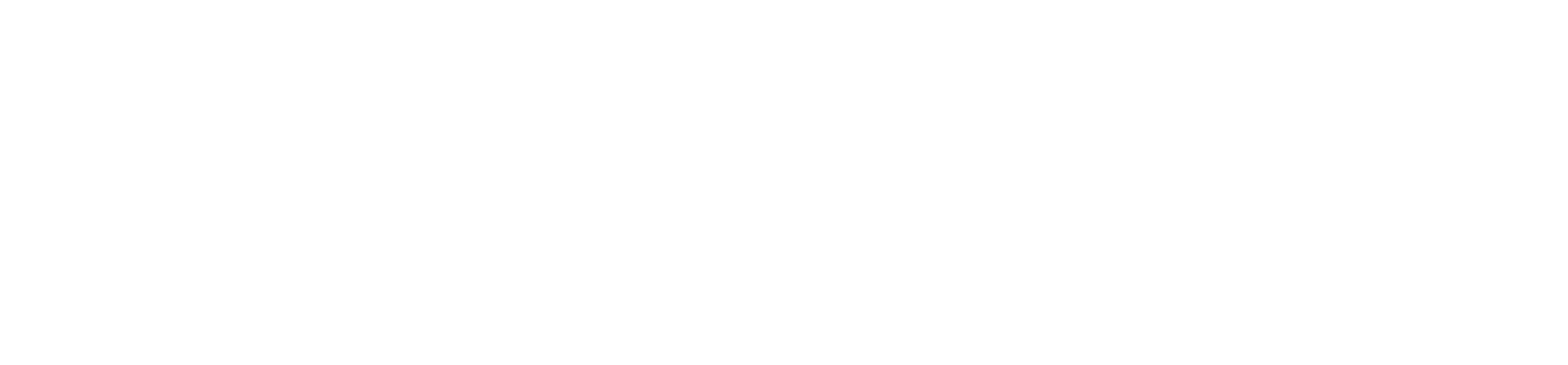 final-logo-white main logos